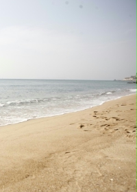 ��Ұ����֤��