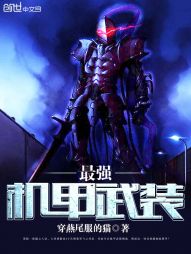 ��ǿ������װ